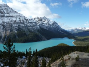 Oct.14'11 Peyto Lake